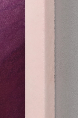 Marguerite Humeau, Ultraviolet Radiation on the Skin of an Oak Leaf, 2022.