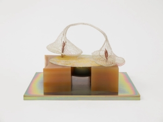 Marguerite Humeau, the disappearance of the bird, 2024.
