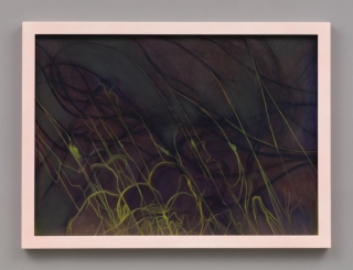 Marguerite Humeau, A Fungal Network and a Root Tip Exchanging Nutrients, 2022.