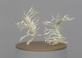 Marguerite Humeau, Dilata (II) The frustration to be stuck into one body, Dilata grows all the lives that you could have had. Inspired by the plant Mimosa Hostilis that triggers hallucinations and schizophrenia., 2022.