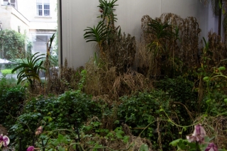 Marguerite Humeau, Surface Horizon, 2021. Alexia Vénot.