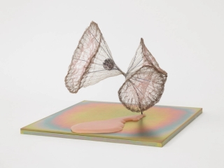 Marguerite Humeau, release of gravity, 2024.