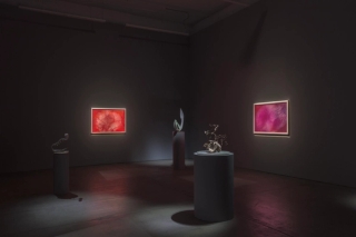 Marguerite Humeau, Energy Flows, 2022. JSP Art Photography.