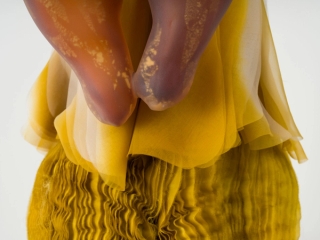 Marguerite Humeau, Skaza (The Conference in the Air III), 2024.