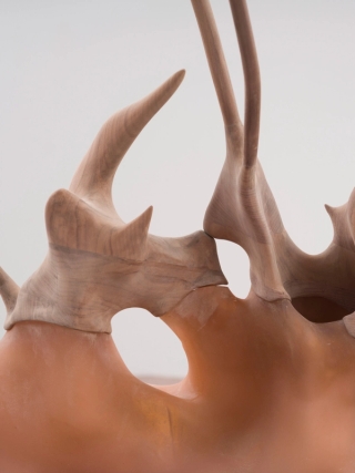 Marguerite Humeau, Skero (The Dormant), 2024.