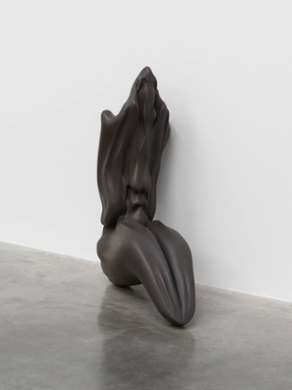 Marguerite Humeau, Venus of Courbet, A 80-year-old female human has ingested the brain of a swallow, 2018.