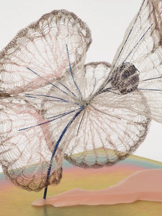 Marguerite Humeau, release of gravity, 2024.