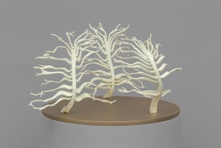 Marguerite Humeau, Dilata (I), The frustration to be stuck into one body, Dilata grows all the lives that you could have had. Inspired by the plant Mimosa Hostilis that triggers hallucinations and schizophrenia., 2022.