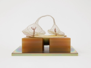 Marguerite Humeau, the disappearance of the bird, 2024.