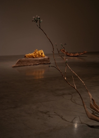 Marguerite Humeau, meys, 2023. White Cube (Julia Andréone