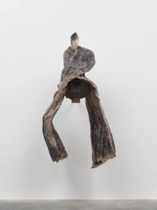 Marguerite Humeau, Skinu (The Conference in the Air IV-I “Flying Nest”), 2024.