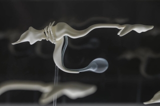 Marguerite Humeau, The Dead, The Dancers, and The Air, A shoal of fish performing a breathing ritual in an attempt to bring their dead back to life, 2022.