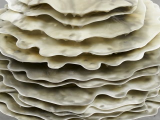Marguerite Humeau, The Guardian of Termitomyces ('A'), 2023.