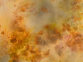 Marguerite Humeau, Ghost map III, I drew: the darkness of an industrial past, eroded soils, memory of the golden light and its variations. Memory of light. The sunset, flying seeds. Dormant seeds. I drew vulnerable, and healing plants, and plants oracles. The plants some call “weeds” may be living in our future already. Nomads, Russian Thistle, Tumble Pigweed, Tumble Ringwing, Burning Bush. Resilient living forms, Russian Knapweed, Canada, Mountains and Platte Thistle. Rain-dancers, Spurge, Japanese brome, Spike Bentgrass, Canadian Horseweed. Body parts, blood vessels, Nodding Buckwheat, skeletons, Douglas’s Knotweed, American Bugseed and Greasewood., 2022.