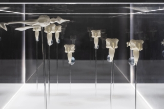 Marguerite Humeau, The Dead, The Dancers, and The Air, A shoal of fish performing a breathing ritual in an attempt to bring their dead back to life, 2022.