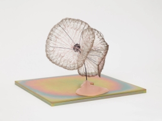 Marguerite Humeau, release of gravity, 2024.