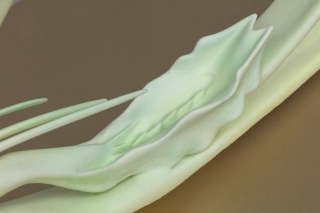 Marguerite Humeau, Eleusis, The desire to care less about things, to loosen your grip on your life, to hold your life playfully like a volleyball. Inspired by the plant Fumaria that bears the signature of blood vessels and supports blood activation., 2022.