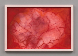 Marguerite Humeau, Bacteria Eating the Dead Cadaver of a Bird, 2022.