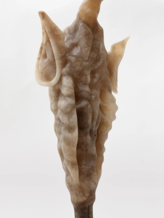 Marguerite Humeau, Amoeba, 2025.