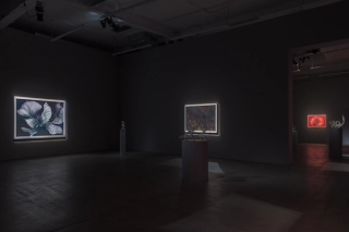 Marguerite Humeau, Energy Flows, 2022. JSP Art Photography.