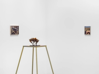 Marguerite Humeau, Dust, 2024. Photo © White Cube (Jeon Byung Cheol).