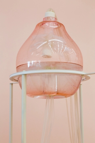 Marguerite Humeau, Félicie, A female engineered to be selfdestructive – it gets drunk with ethanol that comes from a masala fruit, 2016.