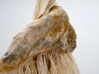 Marguerite Humeau, Skera (The Conference in the Air IV-III “Golden Light”, 2024.