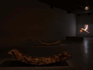 Marguerite Humeau, Torches, 2025. Mathilde Agius