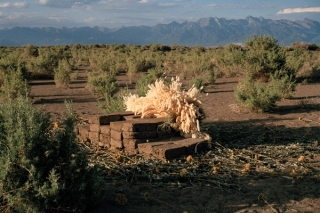 Marguerite Humeau, Orisons, 2023.
