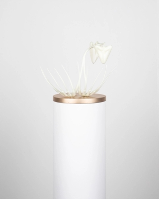 Marguerite Humeau, Proia, 2021.