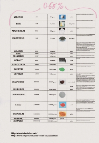 Body without Soul (Liquid Human) 
Recipe to concoct a liquid human. Pigments made with all chemical components of a human body.
Excel worksheet printed on two A4 pages with annotations.