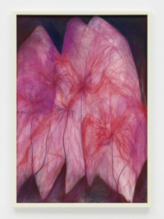 Marguerite Humeau, III - I observed the pulsations of a mound, like a lung inhaling and exhaling, porous, with branching passages., 2022.