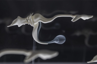 Marguerite Humeau, The Dead, The Dancers, and The Air, A shoal of fish performing a breathing ritual in an attempt to bring their dead back to life, 2022.