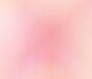 Marguerite Humeau, Body Without Soul, 2016.
