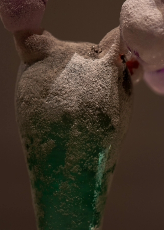 Marguerite Humeau, meys, 2023. White Cube (Julia Andréone