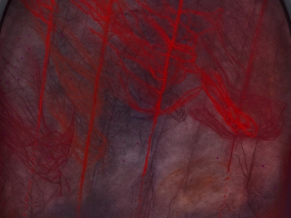 Marguerite Humeau, Dripkindle: the awakening sparked by root-tip droplets, each fall of moisture stirring bacteria, fungi, and minerals to life; the understanding that in darkness, the smallest pulse can rouse an entire system., 2025.