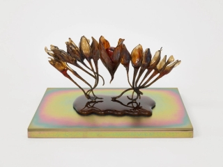 Marguerite Humeau, dead skins, 2024.