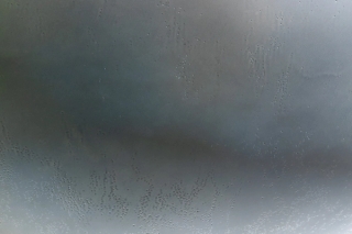 Marguerite Humeau, Migrations, The Milk of Dreams, 2022. Roberto Marossi.