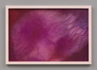 Marguerite Humeau, Ultraviolet Radiation on the Skin of an Oak Leaf, 2022.