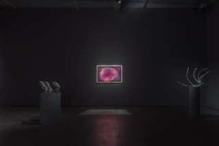 Marguerite Humeau, Energy Flows, 2022. JSP Art Photography.