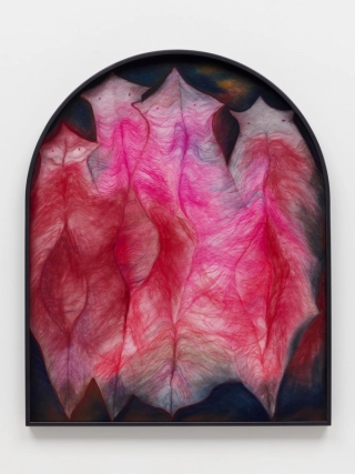 Marguerite Humeau, Translucidency: the courage of flatworms whose organs glow through their skin, the willingness to be seen without shields - a vulnerability made possible only when darkness removes the need to hide., 2025.