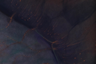 Marguerite Humeau, An Electrical Impulse, 2022.