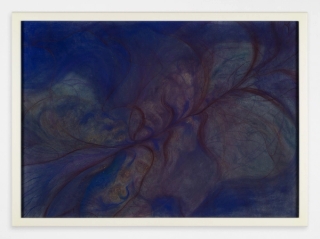 Marguerite Humeau, Lunaria, The feeling that you might be witnessing the birth of new universes as you are staring at the starry skies on a very dark summer night, 2021.