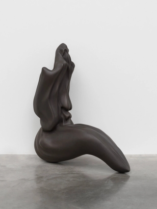 Marguerite Humeau, Venus of Courbet, A 80-year-old female human has ingested the brain of a swallow, 2018.