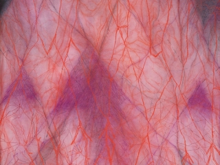 Marguerite Humeau, Underground branching passages, soil inhalations, soil exhalations, 2022.