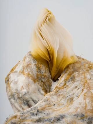 Marguerite Humeau, Skera (The Conference in the Air IV-III “Golden Light”, 2024.