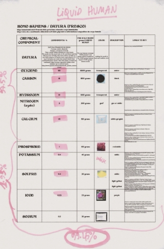 Body without Soul (Liquid Human) 
Recipe to concoct a liquid human. Pigments made with all chemical components of a human body.
Excel worksheet printed on two A4 pages with annotations.