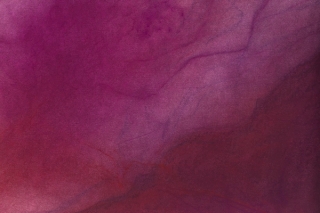 Marguerite Humeau, Ultraviolet Radiation on the Skin of an Oak Leaf, 2022.