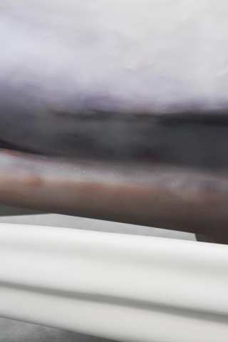 Marguerite Humeau, The Dead, A drifting, dying marine mammal, 2019.