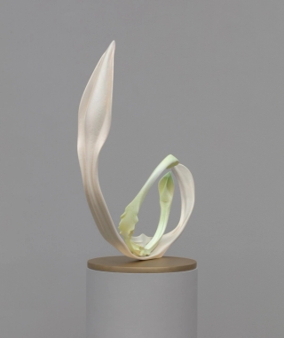 Marguerite Humeau, Yuyi, The desire to feel intensely again, the wish you could see things with a fresh eye. Inspired by the plant Fumaria, that bears the signature of blood vessels and supports blood activation., 2022.